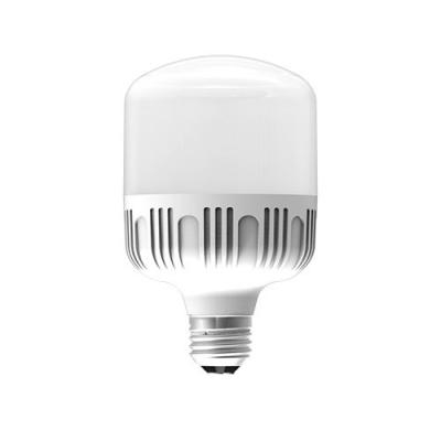Đèn LED bulb công suất lớn Điện Quang ĐQ LEDBU10 40765AW (40W Daylight, chống ẩm)