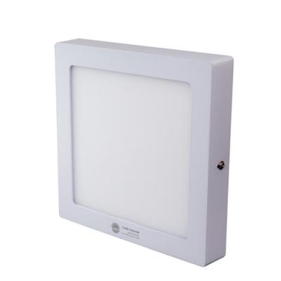 Đèn LED ốp trần vuông (D LN 08L 23x23/18W)