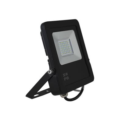 Đèn LED chiếu pha  D CP03L/30W LED SS