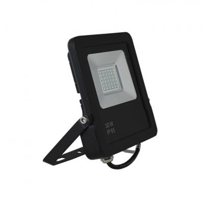 Đèn LED chiếu pha  D CP05L/30W LED SS