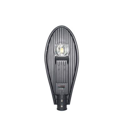 Đèn LED chiếu sáng đường D CSD02L / 30w