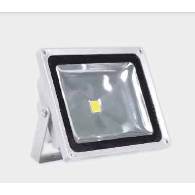 Đèn LED pha Điện Quang ĐQ LEDFL01 10765 (10W daylight, IP65)