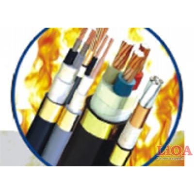 Cáp chống cháy và chậm cháy Lioa