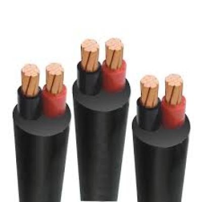 Dây Cáp Điện 2 Lõi Cadivi CVV 2x300