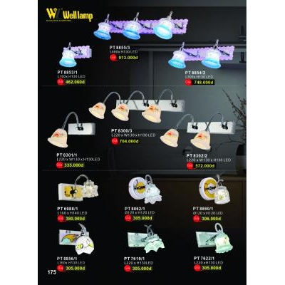Đèn Pha Tranh Cao Cấp PT 8853-8854-8855-8301-8302-8300
